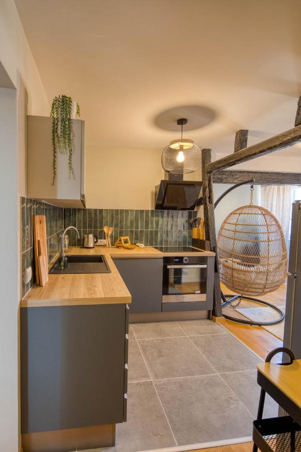 Appartement Le Verdoyant Hyper Centre Avec Sauna Et Parking Colmar Exteriér fotografie