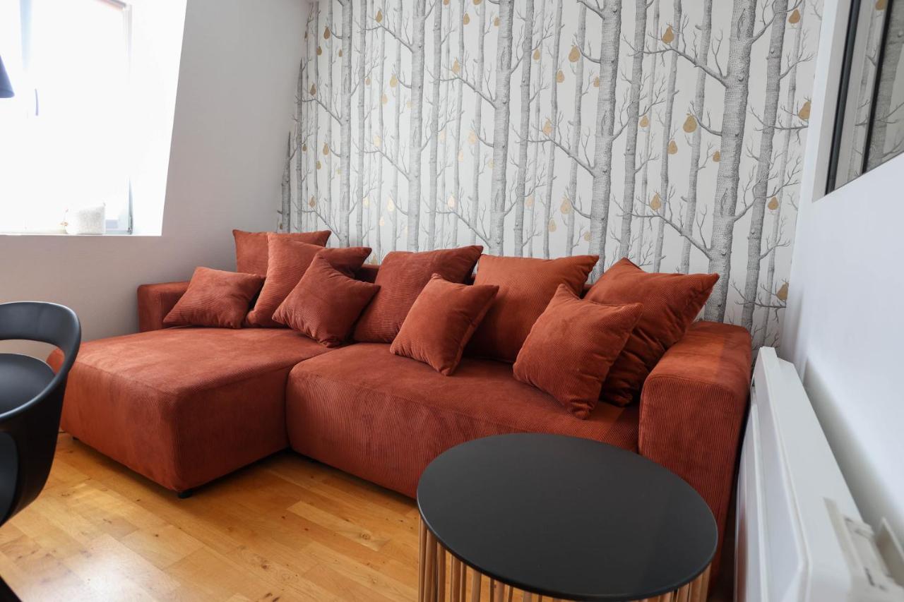 Appartement Le Verdoyant Hyper Centre Avec Sauna Et Parking Colmar Exteriér fotografie
