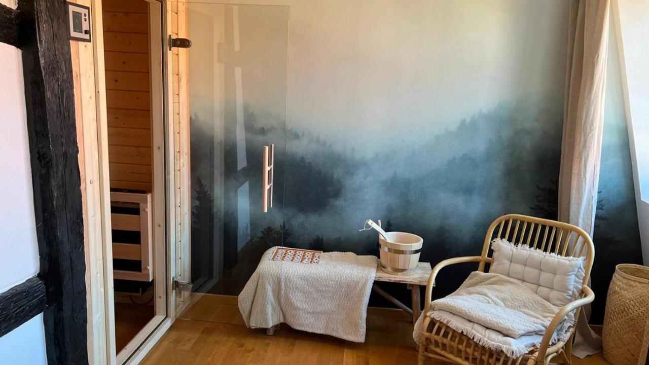 Appartement Le Verdoyant Hyper Centre Avec Sauna Et Parking Colmar Exteriér fotografie