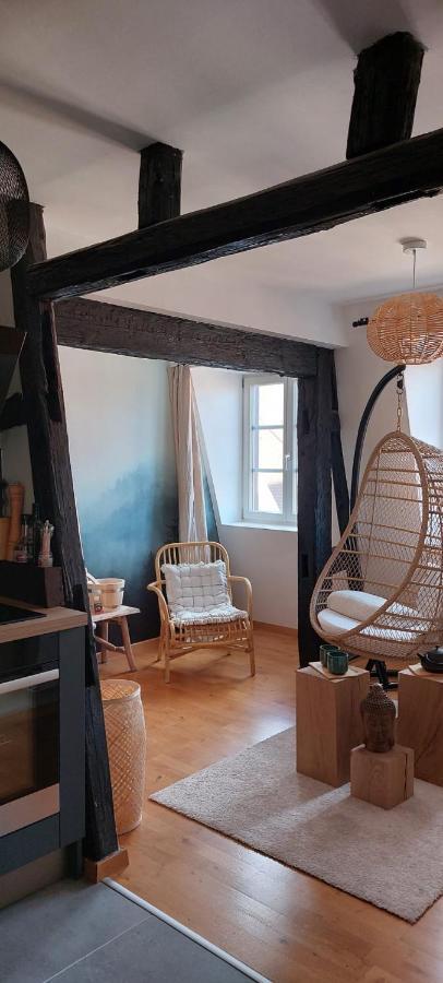 Appartement Le Verdoyant Hyper Centre Avec Sauna Et Parking Colmar Exteriér fotografie